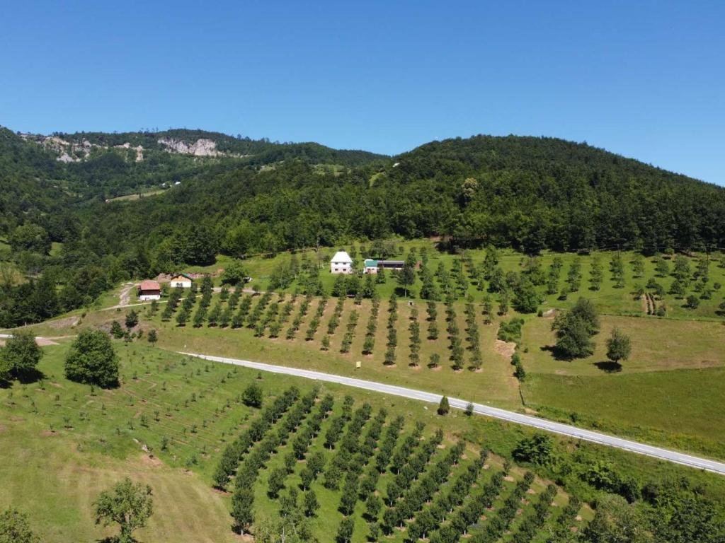 Aerial pogled na Kljajevica Voćnjak