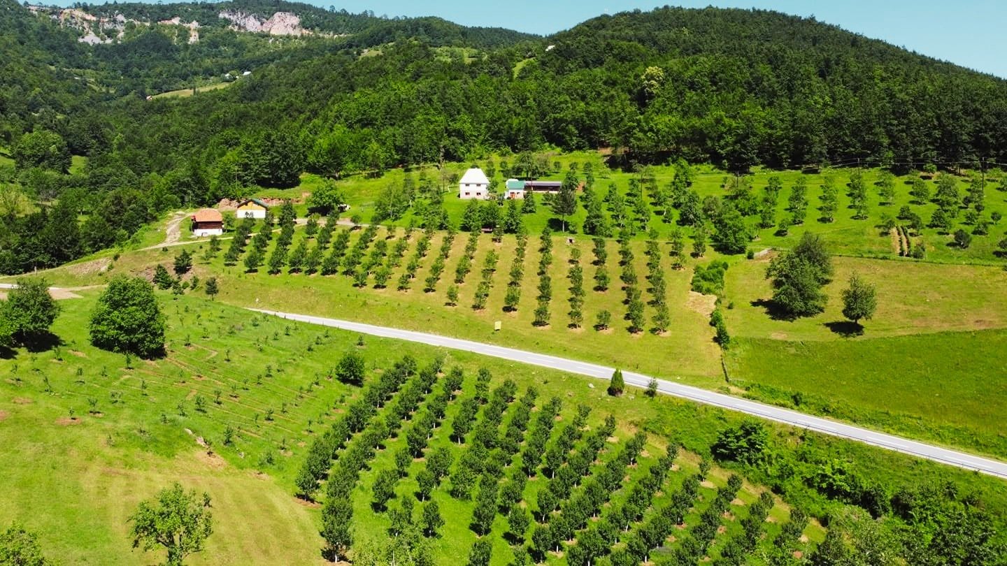 Experience Life in the Orchard